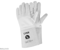 Lynx.png
