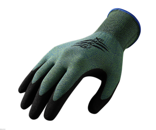 V03.png