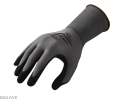 G-REX F09.png