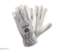 Lemur.png