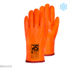 Polar I.png